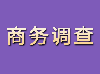 奉节商务调查